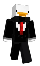 Minecraft skin — Classic model