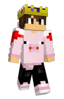 Front of ActionSpace's skin