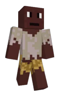 Front of 0833's skin