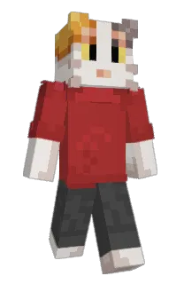 Front of Carmel_the_cat's skin