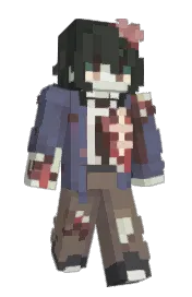 Skin preview