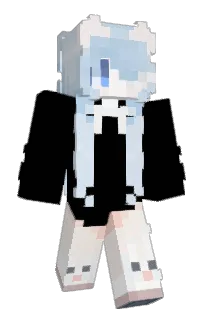 Front of rofll's skin