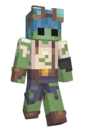 Skin preview