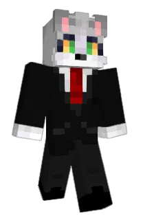 Front of Acenix's skin