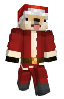 Front of Doge_Magic's skin