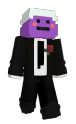 Minecraft skin — Classic model