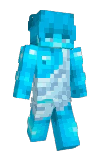 Front of flowku's skin