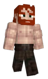 Minecraft skin — Classic model