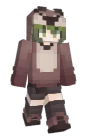 Skin preview