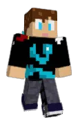 DevInvert