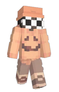 Front of Bingston's skin
