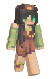 Skin preview