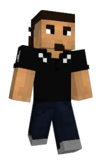 Front of SEUT's skin