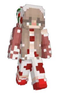 Front of Irishhalo's skin
