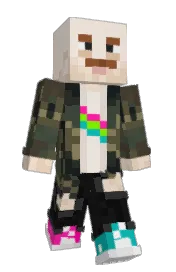 Skin preview