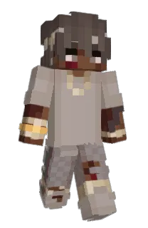 Front of TimlunYT's skin