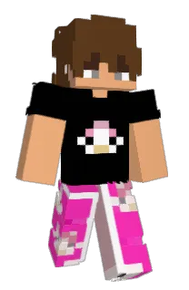 Front of bENX34's skin