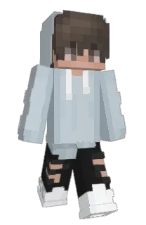 Cactusje's Minecraft skin