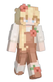 Front of Minecraft skin