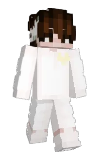 Front of honorroll's skin