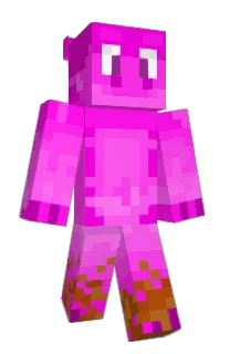 Front of micropig's skin