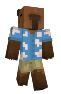 Baankids's Minecraft skin