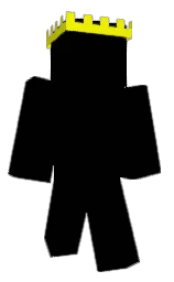 black and malibu Minecraft skin — Classic model