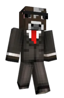 Front of Minecraft skin
