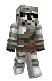Skin preview