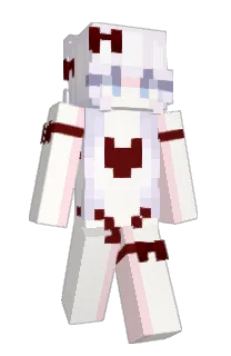 Front of B4uz's skin