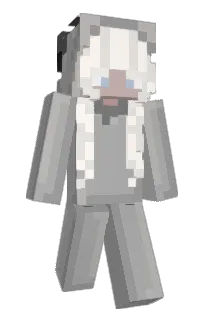 Front of Dis_G00se's skin