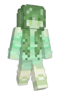 Front of GeekGX's skin