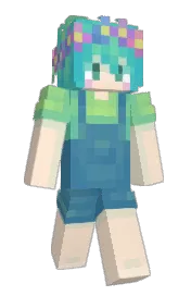 Skin preview
