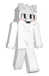 Front of 8891kegasa's skin