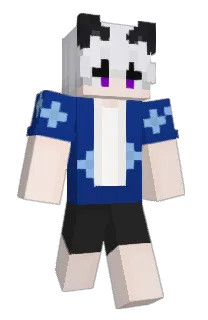 Front of Minecraft skin