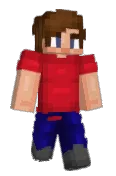 FBI2010G