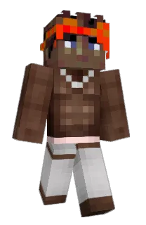 Front of GnatDestroyer's skin
