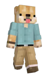 Front of Hoaak's skin