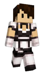 roo255's Minecraft skin wearing the Migrator cape