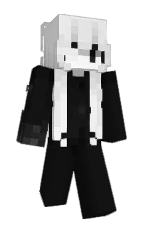 Front of Shishn's skin
