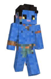 Skin preview