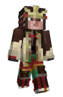 Front of IRVQ's skin