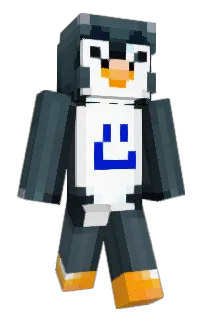 Front of Steelship's skin