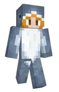 Front of floos_'s skin