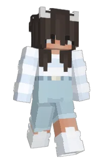 Front of Minecraft skin