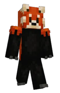 Front of HELLOHAMTER's skin