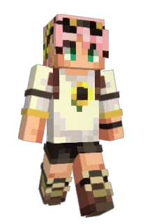 Front of miscis's skin