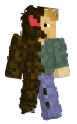 Minecraft skin — Classic model