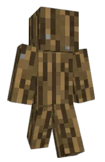 Front of shindam09's skin