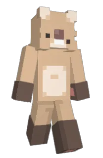 Front of Minecraft skin
